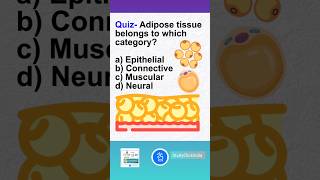 Adipose tissue belongs to which category MCQ Comment the Answer  shorts [upl. by Terryn]