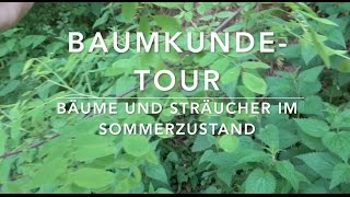 BaumkundeTour 17 Bäume und Sträucher erkennen [upl. by Anurb317]