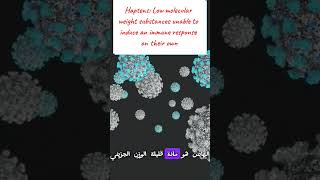 Immunogen Antigen Haptens amp Epitopes مفاهيم مهمة لفهم المناعة medicalstudent lnl immunology [upl. by Rothmuller671]