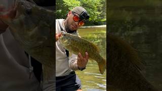 Creek giant bassfishing fishingfanatics catchnrelease smallmouthbass [upl. by Kreager]