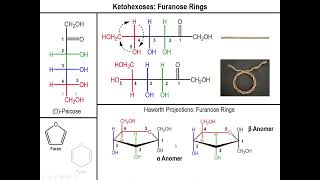 Lec10  The Haworth Projection and Chair Conformation of Sugars [upl. by Divad]