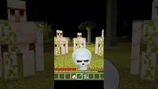 Minecraft moment ☠️ [upl. by Gunn7]