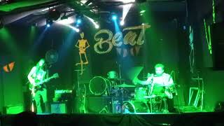 Pardos MX  Cerdos  En el Beat 803 [upl. by Stacia]