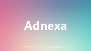 Adnexa  Medical Meaning [upl. by Avram]