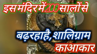 इस मंदिर में पिछले 200 सालों से बढ़ रहा है शालिग्राम का आकार। The Evergrowing 200 Year Old Shaligram [upl. by Natfa]