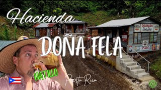 HACIENDA DOÑA FELA 🐷🍛🥃🍹🍺 FESTIVAL LÁGRIMA DE MONTE DON PITORRO 2023 Hatillo Puerto Rico🇵🇷 [upl. by Sproul]