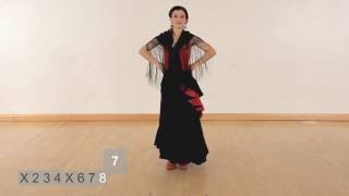 How to perform a simple Flamenco dance sequence [upl. by Einre976]