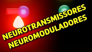 Neurotransmissores [upl. by Pallua]