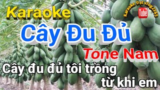 Karaoke Cây Đu Đủ [upl. by Dnalyram]