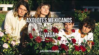 AXOLOTES MEXICANOS  Vaga Letra [upl. by Norm927]