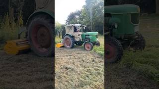 Deutz D40S mulchen 🚜farming viralvideo viral shorts youtubeshorts vlog vlogger dailyvlog [upl. by Rodgiva]