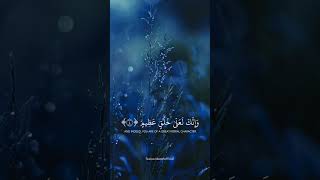 Surah Noon  or Nūn Arabic نٓ is the sixtyeighth chapter sūrah of the Quran [upl. by Elokcin169]