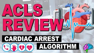 Cardiac Arrest  ACLS Review [upl. by Raouf]