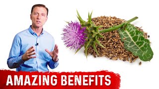 8 Benefits of Milk Thistle for the Liver [upl. by Ayhtin254]