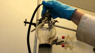 Porphyrin Bootcamp  Column Chromatography [upl. by Afaw388]