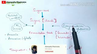 Production of Glutamic acid and Aspartic acid by fermentation  Bio science [upl. by Damara]