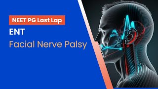 NEETPG Prep  ENT  Facial Nerve Palsy by Dr Ajay Bhandarkar [upl. by Lanevuj]