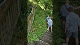 St Nectans Glen Waterfall Cornwall 11th July 2024 [upl. by Pinto]