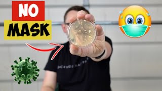 Face Mask Efficiency Test With Petri Dishes Crazy Results [upl. by Aicnelav]