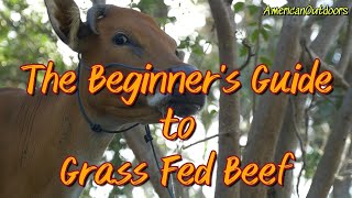 THE BEGINNERS GUIDE TO GRASS FED BEEF [upl. by Ayidah470]