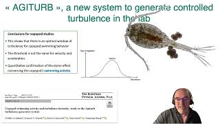 Turbulence7 Zooplankton2024 [upl. by Auqenet]