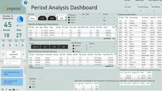 Data Connector exports to Power BI Payroll Examples [upl. by Ajiam]