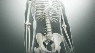 Ankylosing Spondylitis Symptoms [upl. by Sartin]