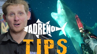 Spearfishing with Sharks Tigers White Pointers Bullsharks  ADRENO [upl. by Arehahs472]