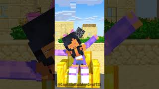 Hide N Seek Noob Girl vs The 4 Friends funnyshorts minecraftshorts minecraft fyp [upl. by Lacie]