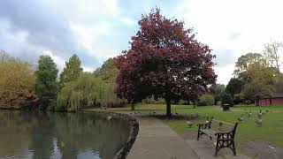 Abbey park Leicester Autumn walk October 2024 🍁🍂 part 3 [upl. by Andrey907]