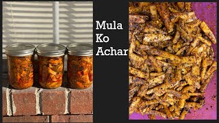 Mula ko Achar Recipe  Nepali style Radish pickle [upl. by Kirre192]