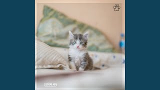 고양이 심리안정 음악 Comfortable [upl. by Eveline]