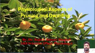 Pruning and Dwarfing Physiology [upl. by Basilio389]