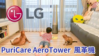 LG PuriCare AeroTower 風革機開箱及試用 雪霧銀 FS151PSF0 [upl. by Lavern]