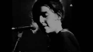 Elastica  Live at Cologne Kantine 27th April 1995 Never HereVaseline [upl. by Haseena]