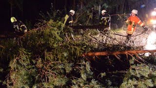 Sturmtief Fabienne richtet Schäden in Südbaden an [upl. by Giacopo292]