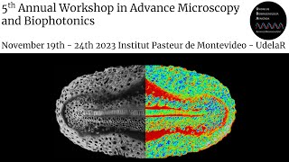 Introduction to Fluorescence Lifetime Imaging Microscopy FLIM and the phasor analysis [upl. by Shermy730]