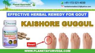 Gout Herbal Treatment  Ayurvedic Treatment [upl. by Dave]