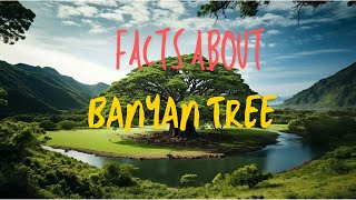 Interesting Facts about Banyan Tree [upl. by Ecaroh]