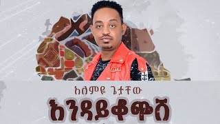 Alemye Getachew  Endaykochesh  እንዳይቆጭሽ  New Ethiopian Music 2024 Official Video [upl. by Katzen481]