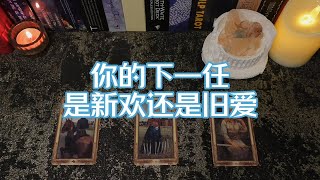 【塔羅占卜】你的下一任是新歡還是舊愛 [upl. by Hannaoj]