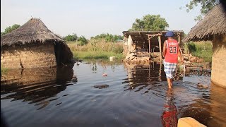 High Tide Flooding in Kerewan Badala URR The GambiaPart 1 [upl. by Aluino]