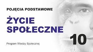 ŻYCIE SPOŁECZNE  POJĘCIA PODSTAWOWE CZ 10 [upl. by Enoed970]