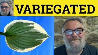 🔵 Variegated Meaning  Variegate Examples  Variegated Definition  Leaves  Variegated [upl. by Neit]