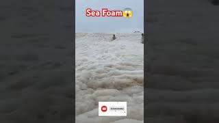 Sea Foam 😱facts factsinhindi amazingsfacts shortsfeed youtubeshorts shortviral shorts [upl. by Alliw927]