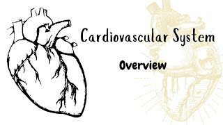 Cardiovascular System  Overview  Introduction to Cardiovascular System  Medicine Unplugged [upl. by Nitsu253]