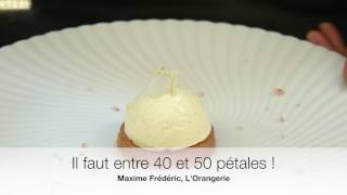 La sublime Fleur de vacherin de Maxime Frédéric LOrangerie [upl. by Aneles]