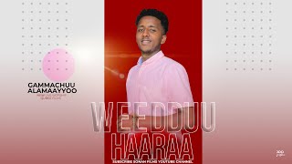 GAMMACHUU ALAMAAYYOO WEEDDUU HAARAA FAARFANNAA WAAQEEFFANNAAGEMECHU ALEMAYO NEW LIVE WORSHIP 2022 [upl. by Haelam235]