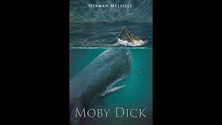 Moby Dick by Herman Melville  Chapter 135 and Epilogue  Full audiobook  Unabridged [upl. by Leynad829]