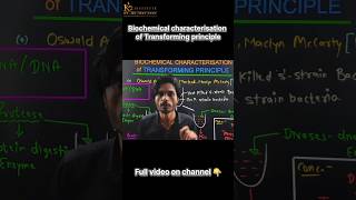 Biochemical Characterisation of Transforming Principle Molecular Basis of Inheritance  Class 12 [upl. by Ynffit]